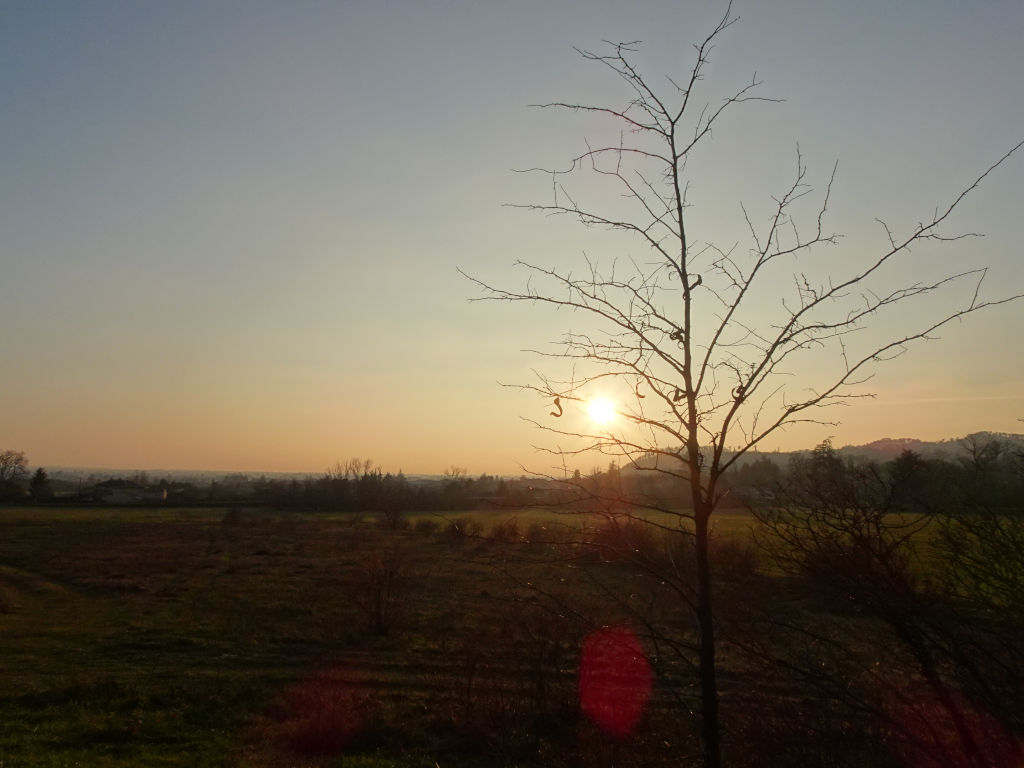 Le soleil accroché à l'arbre, Drôme, France, 2019