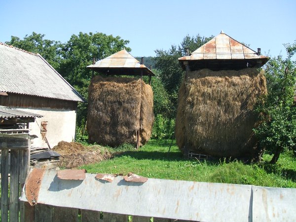Maison traditionelle roumaine avec foin